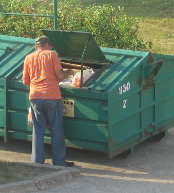 Grzebanie w smietnikach sposobem na podtrzymanie egzystencji 1